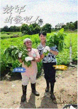书架横滑标本 022 号慢综艺陪伴样本封面